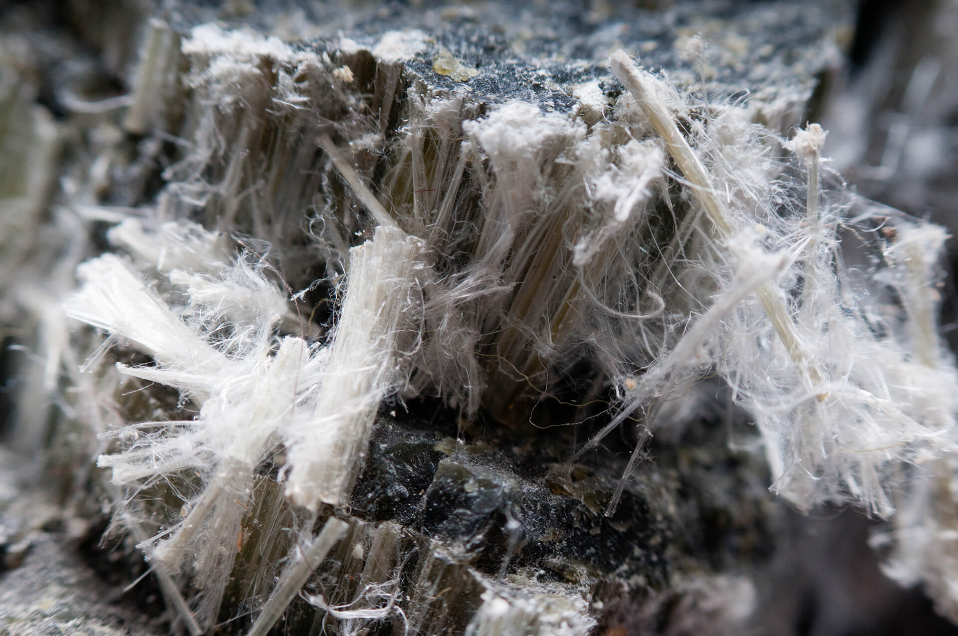 Asbestos abatement services