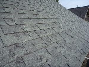 Storm damage restoration