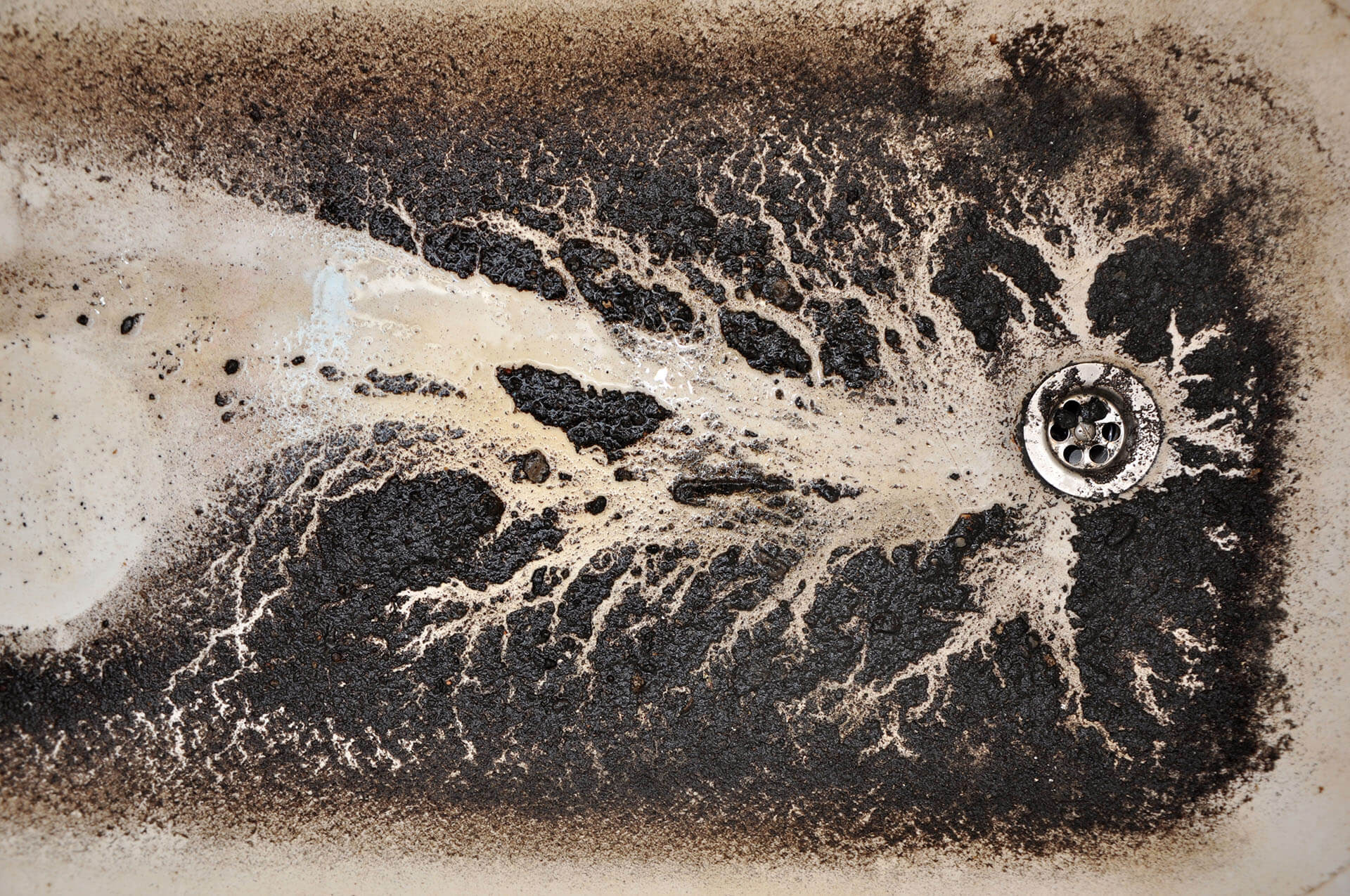 Mold remediation