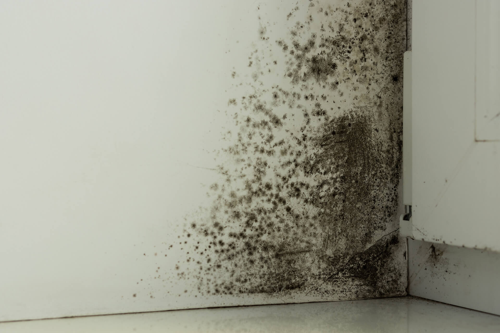 Mold containment