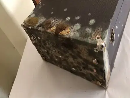 Mold removal